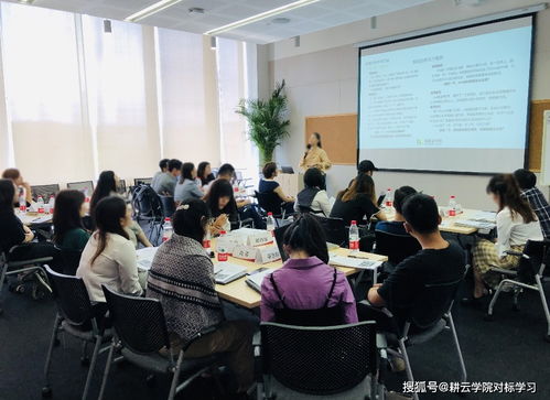 对标阿里巴巴 打造销售铁军的企业管理咨询策略